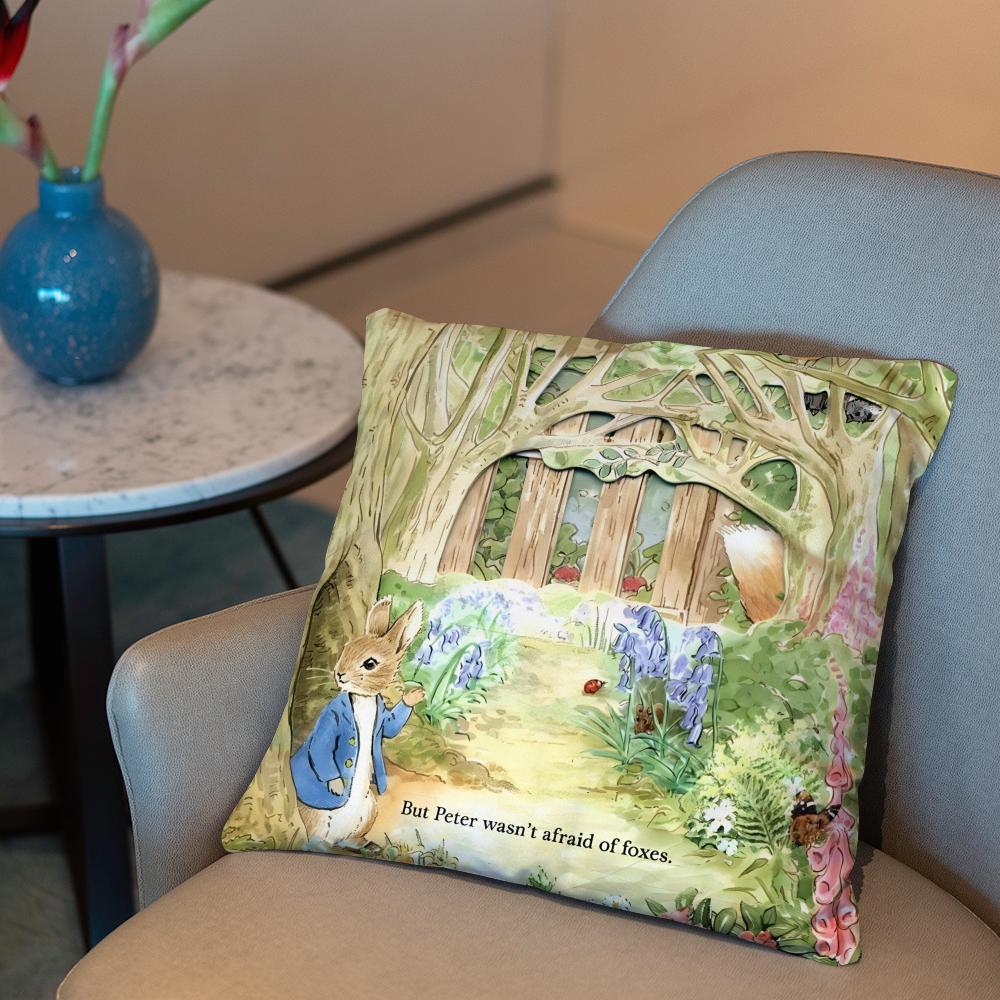 P-Peter Rabbit printing Cushion Cover 2-in-1 Reversible Plush Pillow Cover | Car/Sofa/Bed | Perfect Gift