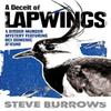 A Deceit of Lapwings by Steve Burrows Paperback Book 9780861541799