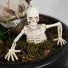 Halloween Dekoration Skelett Oberkörper mit Krabbeln für Tischdekoration