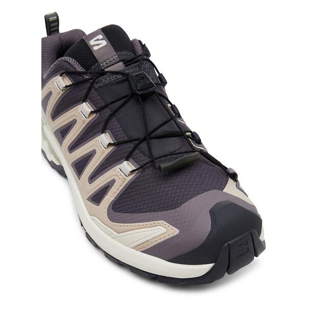 Треккинговые ботинки Salomon Xa Pro 3D V9 Gore-Tex