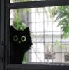 Black Cat Peeking Out Fully Transparent Double Sided Visible Static Cling Glass Sticker Home Decor