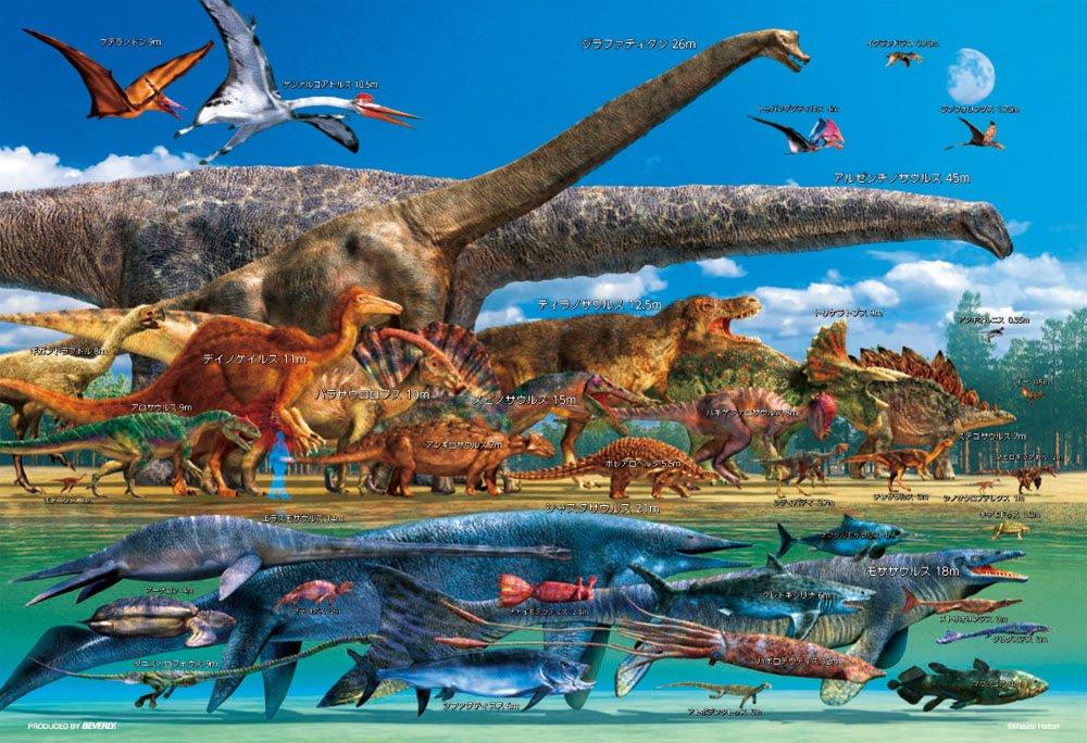 in Beverly Jigsaw Educational Jigsaw Dinosaur Size Comparison Large Pieces x 38 [Made Japan] 150-Piece Puzzle, Puzzle, World, (26 cm)