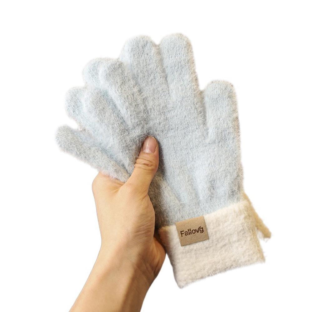 Thickened Winter Gloves Windproof Knitted Gloves Fashion Warm Gloves Women