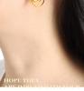 Niche French Geometric Rose Zirconia Hoop Earrings - Colorfast Titanium & Stainless Steel Jewelry for Women