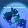 USB Sunset Lamp LED Rainbow Neon Night Light Projector Photography Wall Atmosphere Lighting for Bedroom Home Room USB Sunset Lam