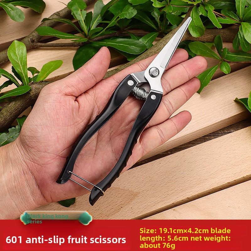 

Садовые секаторы, Ножницы из нержавеющей стали, Секаторы для толстых веток, Секаторы для винограда, Секаторы для толстых веток