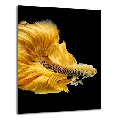 GLASS PLATE BOARD PANEL TABLETOP 40x52 FISH