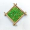 Hanmade Ornament Schmuckherstellung Acrylperlen Materialien Grün DIY Handgefertigtes Zubehör Mode Blatt Ohrring Anhänger 100 Stück