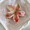 Summer Acrylic Flower Hair Clip for Women Marble Texture Hair Claws Clips Trendy Girl Hairpin Korean Hair Accessories Headwear
