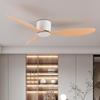 Remote-Control Ceiling Fan, No Light, 85-265V Wide Voltage