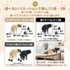 Archnote Pug Novelty Dog Funny Humorous with Poop Beige Goods, Items, Figurine, Goods, Items, Design,