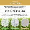 IRIS OHYAMA Domestic Artificial Grass 1m x 10m Grass Length 3cm Mildew Resistant Comes with 16 U-shaped pins Balcony Garden Soft texture and real touc
