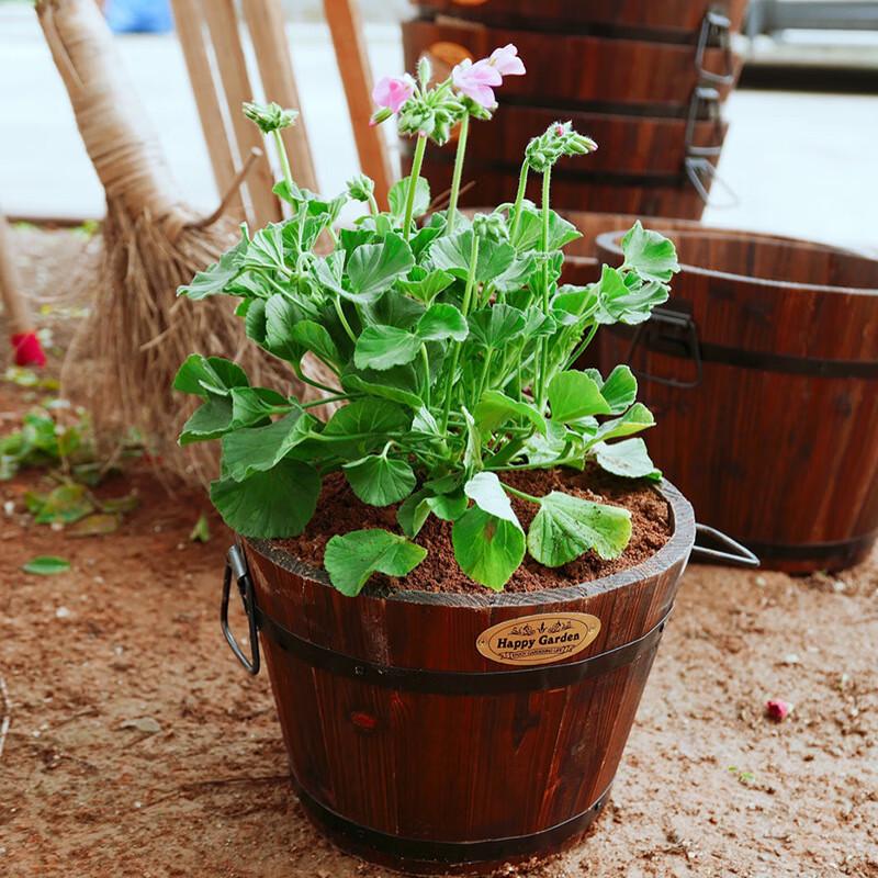 Miling Carbonized Wooden Planter Pot