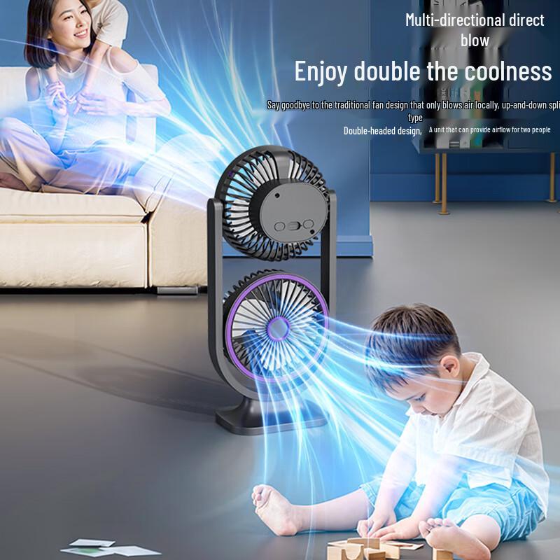 ZISIZ Dual-Head Desk Fan with Light & USB Charging