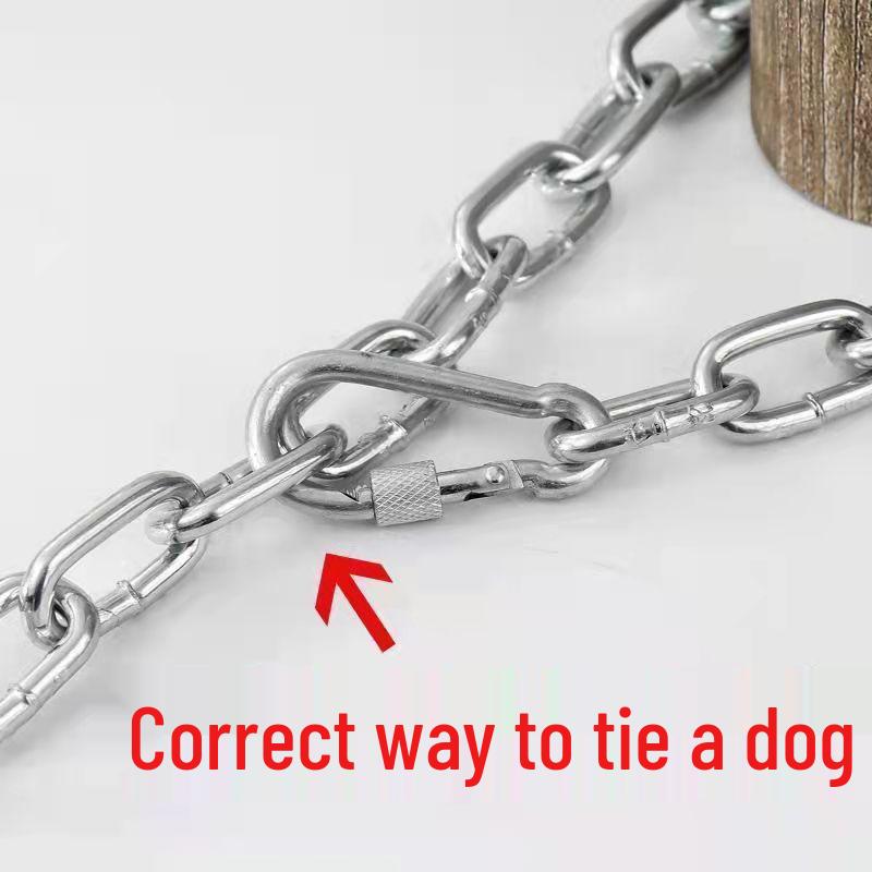 Bite-Resistant Rust-Proof Dog Leash and Chain Collar