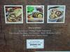 [USED] Foreign Books BREADS Over 50 Recipes igloobooks