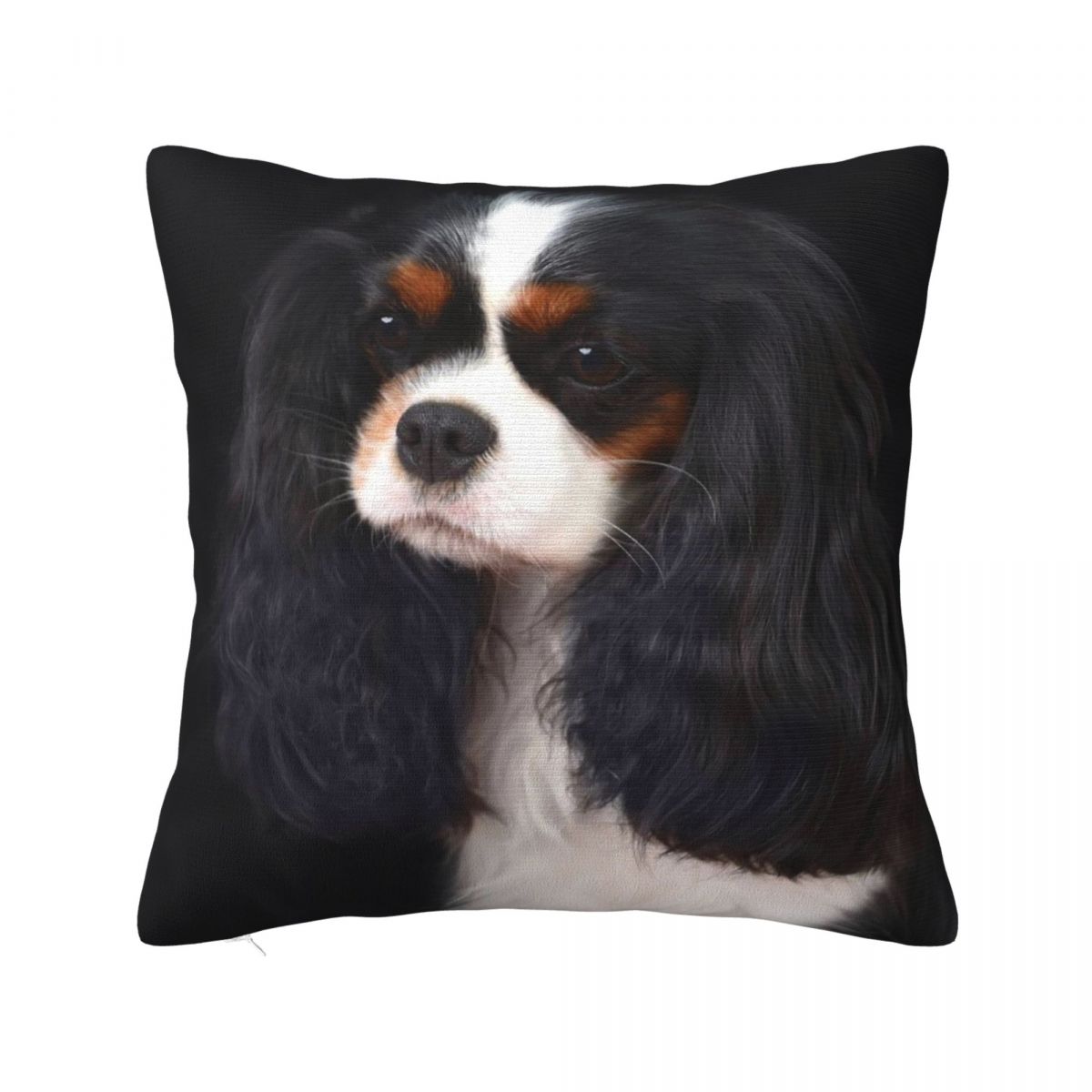 

Cavalier King Charles Spaniel Square Pillowcase Cushion Cover Pillow Case Throw Pillow Cover for Home Bedroom Car 12x12Inch