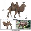 Wild Safari Animal Figurines: Giraffe, Elephant, Rhinoceros, Brown Bear, Tiger, Lion, Leopard, Hippopotamus - Solid Cognitive Toys