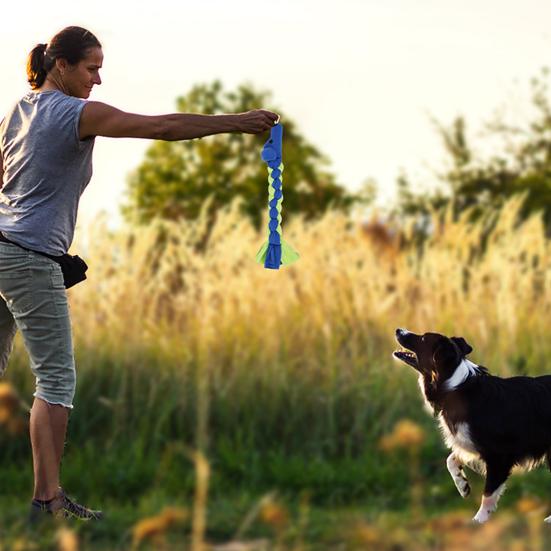 Hračka Lano Odolné proti kousání Uvolnění úzkosti Interaktivní Čištění zubů Psí molární hračka Mazlíček