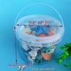 Conch Shells & Starfish for Hermit Crabs: Aquarium Decor & Drift Bottle Accessories