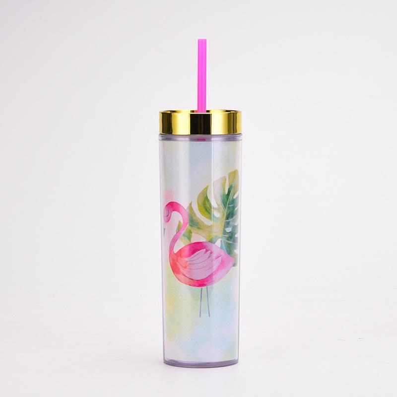 

Double-Layer Plastic Straw Cup Skinny Straight Cup Trendy Flower Card Water Cup 450ml