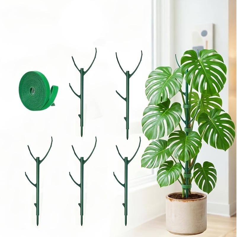 

6Pcs Monstera Plant Support Set Stackable Tall Poles with Ties Support Climbing Plant Stems Durable Outdoor Gardening Supports