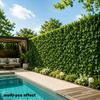 Outdoor Artificial Ivy Green Plant Fence Screen, UV-Resistant, Fade-Proof, Maintenance-Free High-End Plastic Material Artificial Green Plant Wall.