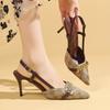 Fashion 2026 Women's Fashion Baotou Sandals Spring New Pointed Head Shallow Mouth Metal Buckle Anti-slip Wear-resistant High Heels