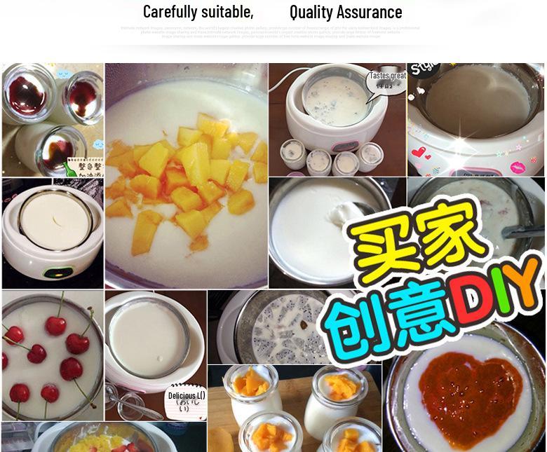 Rustfritt stål 1L Automatisk Yoghurtmaskin - Kompakt husholdningsapparat for yoghurt, natto og risvin