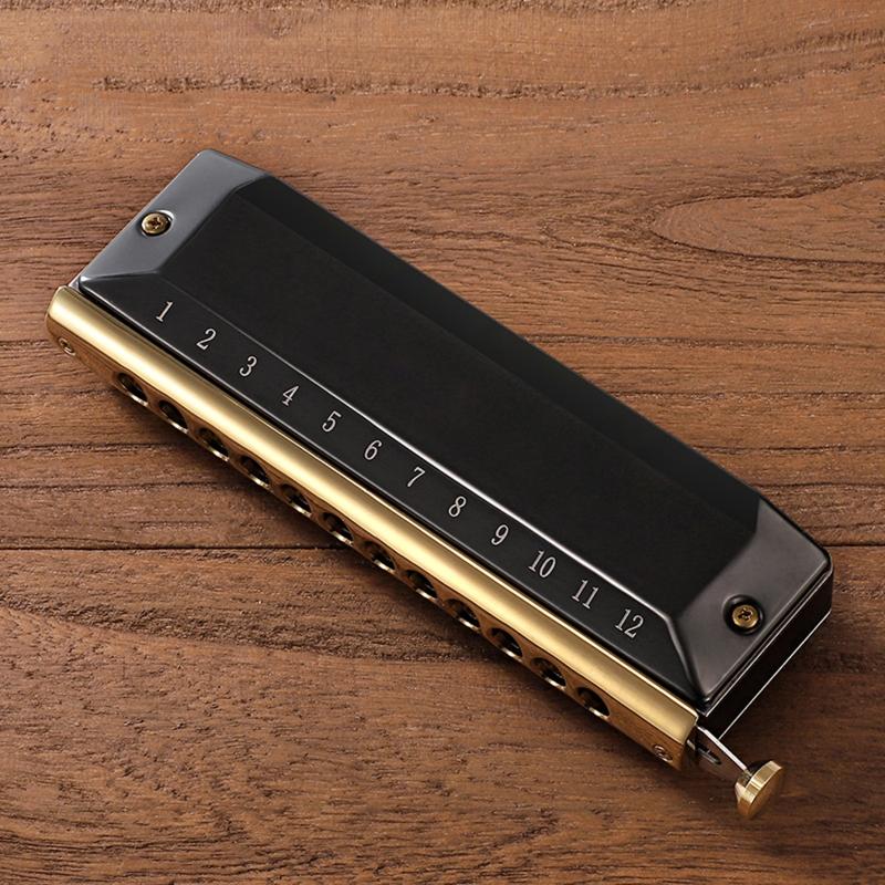 12 Holes Blues Harp Diatonic Harmonica 48 Tones Mouth Organ Harmonica For Adults
