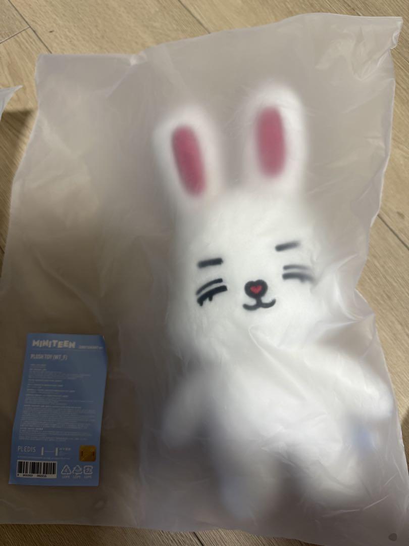 

[USED] Seventeen Seungcheol S.Coups Plush Toy Miniteen
