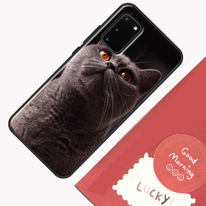 Beautiful Grey British Shorthair Cat Phone Case For Samsung Galaxy S26 S25 Ultra S20 S21 S22 S23 S24 S10 Plus S25 FE Cover Shell