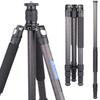 Stativ & Hållare – Tripods (stativ)
