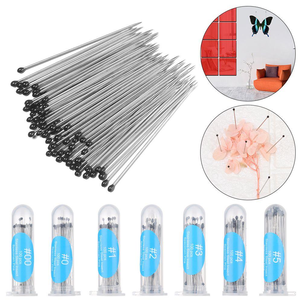 100Pcs High Hardness Entomology Education Pin Specimen Pins Needle Insect Dissections Supplies