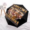 1 Stück Cappiccina Ballerina Kaffee-Kunst-Regenschirm mit Kunststoffgriff, Geeignet für alle Jahreszeiten, Zuhause, Reisen, Outdoor-Regenschirm M1004