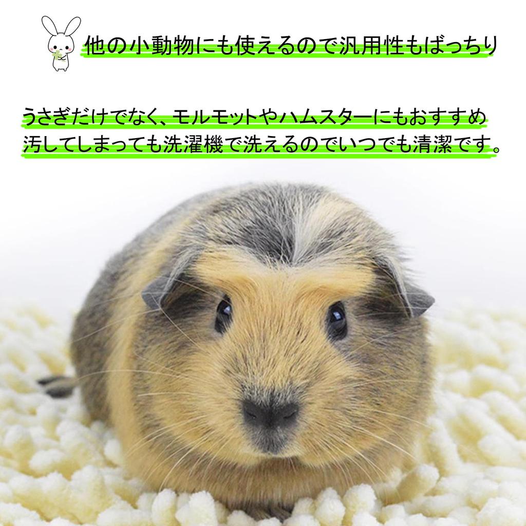 Silver & Style Waschbare Kaninchenkäfig-Bodenmatte, Rutschfest, Saugfähig, Atmungsaktiv, für Hamster und Meerschweinchen (Beige, 2 Stück, 60cm x 40cm)