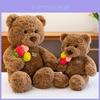 Süßer Handheld Rosen-Teddybär Plüschtier für Mädchen, Geschenk und Heimdekoration