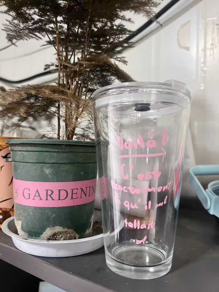 Glass Straw Cup Printing Milk Tea Cold Drink Coffee Cup Household Water Cup High Value Juice Cup Printing