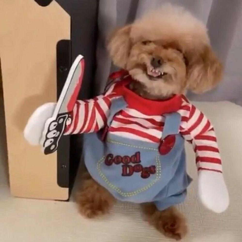 Disfraz de Payaso Perro Poppy Para Halloween, Juego de Rol y Fiestas