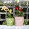 Thickened Root Control Resin Flower Pot (2-Pack)