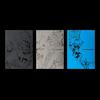 [Zufällig] ENHYPEN - 7. Mini-Album [THE SIN : VANISH] (FLÜCHTLINGE Ver.)