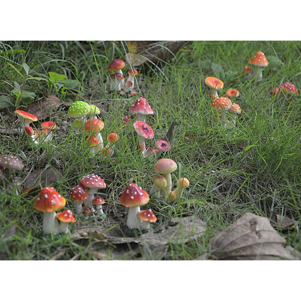 Mushroom Figurine Garden Terrarium Decor