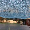 Colorful Outdoor Camouflage Sunshade Net for Heat Insulation & Decorative Greening