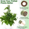 Durable Reusable Moss Pole Water Absorbing Gardening Tool for Pothos Philodendron Climbing Houseplants Planter Use