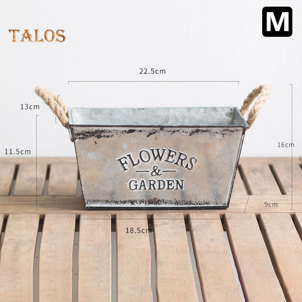 Trädgårdsblommor Trädgårdssnöre Handtag Järnkruka Suckulentväxtbehållare Balkonginredning