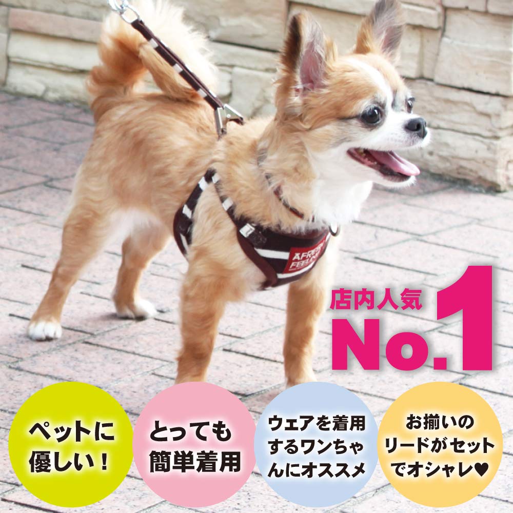 Border Pattern Sort Full Harness Lead Size (Navy, S)