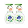 Chao Neng Moisturizing Antibacterial Foaming Hand Soap