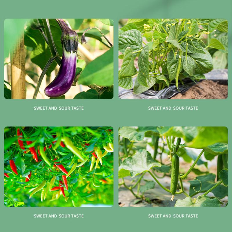 100 Pcs Plastic Plant Clips For Climbing Plants Clear Plant Fixing Clip Tomato Trellis Clips Plant Support Clips Vine Fixing Clip