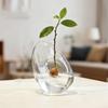 Avocado Seed Starter Vase Transparent Avocado-Shaped Plant Growth Glass Hydroponic Vase Seed Growing Kit For Gardening Lovers