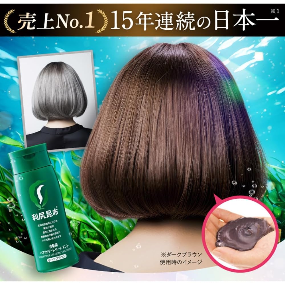 Sastty Rishiri Hair Color Care for Gray Hair 200g (Black)